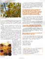 The Tole針療法植物誌治療の針療法植物誌雑誌健康ニュース